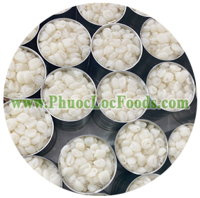 san-pham-chom-chom-nuoc-duong-phuoclocfoods